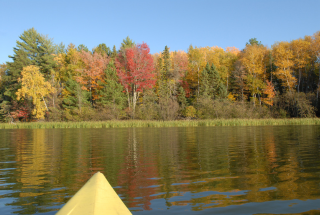 Kayak Trip 2 Hours